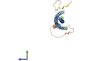 AlphaFold protein structure predicition of Human Recombinant SNAP29 Protein, UniprotID O95721 (SNAP29 Protein (AA 1-258) (His tag))