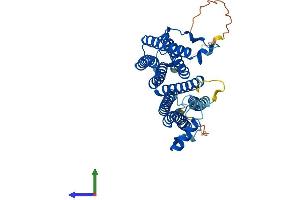 AlphaFold protein structure predicition of Human Recombinant COX15 Protein, UniprotID Q7KZN9 (COX15 Protein (AA 1-410) (His tag))
