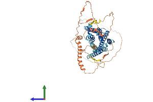 Protein Structure (PS) image for Adrenergic Receptor, alpha 1d (ADRA1D) (AA 1-562) protein (His tag) (ABIN7556821)