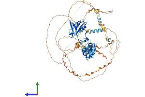AlphaFold protein structure predicition of Human Recombinant LDB3 Protein, UniprotID O75112 (LIM Domain Binding 3 Protein Protein (AA 1-727) (His tag))