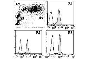 Flow Cytometry (FACS) image for anti-CD46 (CD46) antibody (FITC) (ABIN1449264) (CD46 antibody  (FITC))