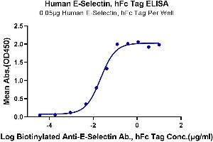 ELISA image for Selectin E (SELE) (AA 22-556) protein (Fc Tag) (ABIN7274571)