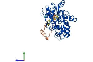AlphaFold protein structure predicition of Human Recombinant CHST10 Protein, UniprotID O43529 (CHST10 Protein (AA 1-356) (His tag))