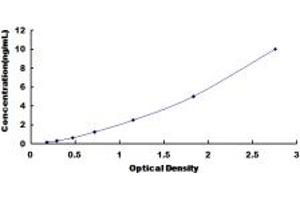 Typical standard curve (COMT ELISA Kit)