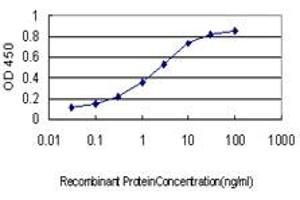 Detection limit for recombinant GST tagged CREBBP is approximately 0. (CBP antibody  (AA 951-1050))