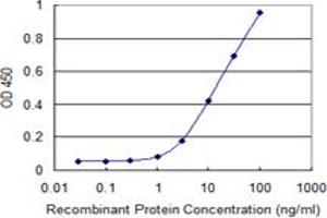 Detection limit for recombinant GST tagged CBFA2T2 is 0. (CBFA2T2 antibody  (AA 201-304))