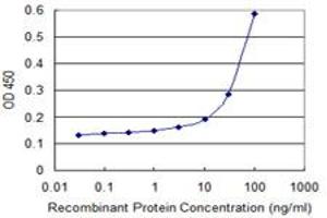 Detection limit for recombinant GST tagged SEPT6 is 3 ng/ml as a capture antibody. (Septin 6 antibody  (AA 1-434))