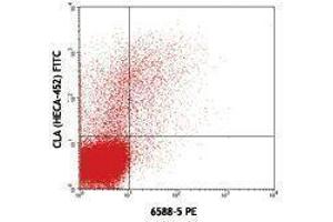 Flow Cytometry (FACS) image for anti-Chemokine (C-C Motif) Receptor 10 (CCR10) antibody (PE) (ABIN2662919) (CCR10 antibody  (PE))