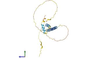 Protein Structure (PS) image for Twist Homolog 1 (Drosophila) (TWIST1) (AA 1-202) protein (His tag) (ABIN7544796)
