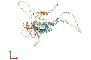 AlphaFold protein structure predicition of Human Recombinant PMS2P1 Protein, UniprotID A4D2B8 (PMS2P1 Protein (AA 1-440) (His tag))