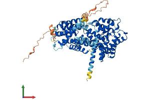 Protein Structure (PS) image for Tetratricopeptide Repeat Domain 39A (TTC39A) (AA 1-613) protein (His tag) (ABIN7544851)
