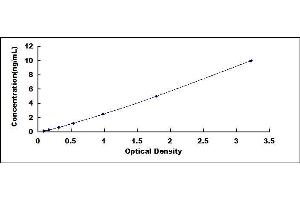 Typical standard curve (HDAC2 ELISA Kit)