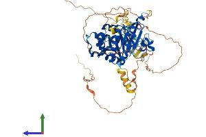 AlphaFold protein structure predicition of Human Recombinant PIP5K1A Protein, UniprotID Q99755