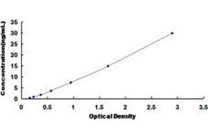 Typical standard curve (AGGF1 ELISA Kit)