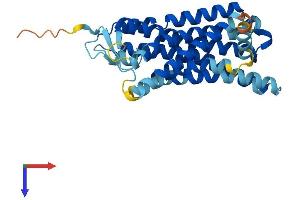 AlphaFold protein structure predicition of Human Recombinant OR6Q1 Protein, UniprotID Q8NGQ2 (OR6Q1 Protein (AA 1-317) (His tag))