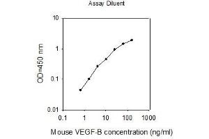 ELISA image for Vascular Endothelial Growth Factor B (VEGFB) ELISA Kit (ABIN2748744) (VEGFB ELISA Kit)