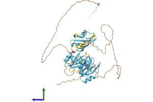 AlphaFold protein structure predicition of Mouse Recombinant Hnrnph1 Protein, UniprotID O35737