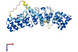 Ankyrin Repeat and SOCS Box Containing 16 (ASB16) (AA 1-453) protein (His tag)