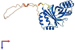 GBAS Protein (AA 1-286) (His tag)