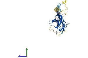 AlphaFold protein structure predicition of Human Recombinant TNFSF10 Protein, UniprotID P50591 (TRAIL Protein (AA 1-281) (His tag))