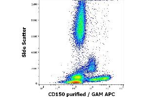 Flow cytometry surface staining pattern of human peripheral whole blood stained using anti-human CD150 (SLAM.