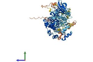 Protein Structure (PS) image for Ribosomal Protein S6 Kinase, 90kDa, Polypeptide 2 (RPS6KA2) (AA 1-733) protein (His tag) (ABIN7565223)