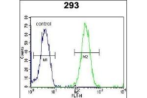 ZNF780A Antibody (N-term) (ABIN654493 and ABIN2844225) flow cytometric analysis of 293 cells (right histogram) compared to a negative control cell (left histogram).