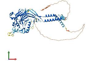 AlphaFold protein structure predicition of Mouse Recombinant Asic4 Protein, UniprotID Q7TNS7 (ACCN4 Protein (AA 1-539) (His tag))