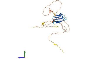 Protein Structure (PS) image for Deleted in Azoospermia-Like (DAZL) (AA 1-295) protein (His tag) (ABIN7546963)
