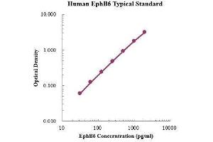 ELISA image for EPH Receptor B6 (EPHB6) ELISA Kit (ABIN3199216) (EPH Receptor B6 ELISA Kit)