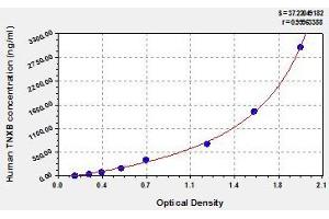 TNXB ELISA Kit