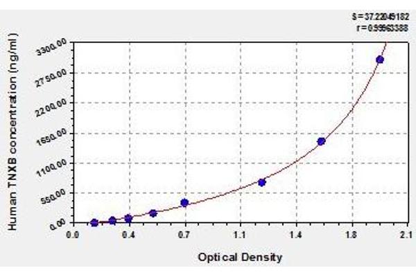 TNXB ELISA Kit