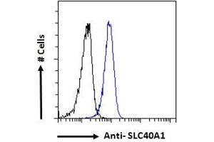 ABIN2613478 Flow cytometric analysis of paraformaldehyde fixed HeLa cells (blue line), permeabilized with 0. (SLC40A1 antibody  (AA 245-259))