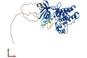 AlphaFold protein structure predicition of Human Recombinant MOS Protein, UniprotID P00540