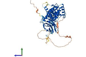 AlphaFold protein structure predicition of Mouse Recombinant Gmcl1 Protein, UniprotID Q920G9
