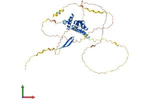 AlphaFold protein structure predicition of Human Recombinant ARID3C Protein, UniprotID A6NKF2 (ARID3C Protein (AA 1-412) (His tag))