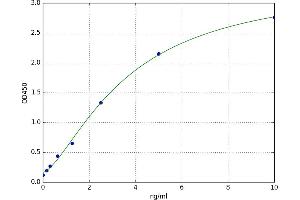Myo-Inositol Oxygenase (MIOX) ELISA Kit