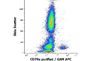 Flow cytometry intracellular staining pattern of human peripheral whole blood stained using anti-human CD79a (HM47) purified antibody (concentration in sample 4 μg/mL, GAM APC). (CD79a antibody  (AA 208-222))