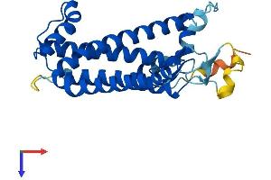 Zinc Finger, DHHC-Type Containing 22 (ZDHHC22) (AA 1-263) protein (His tag)
