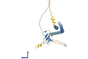 Protein Structure (PS) image for Inhibitor of Growth Family, Member 2 (ING2) (AA 1-281) protein (His tag) (ABIN7561472)