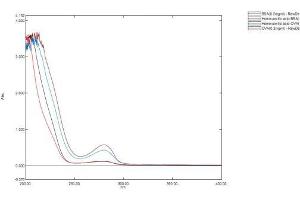 Image no. 1 for Homovanillic Acid (HVA) protein (Ovalbumin) (ABIN1880257) (Homovanillic Acid Protein (HVA) (Ovalbumin))