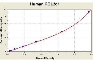 Diagramm of the ELISA kit to detect Human COL2alpha 1with the optical density on the x-axis and the concentration on the y-axis. (COL2A1 ELISA Kit)
