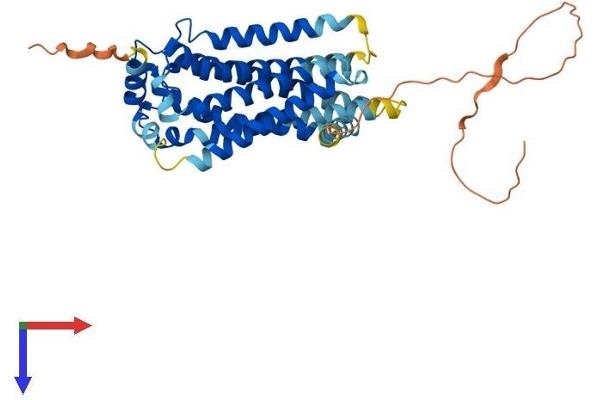 S1PR3 Protein (AA 1-378) (His tag)