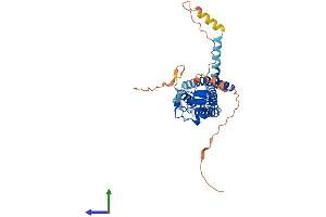 AlphaFold protein structure predicition of Human Recombinant ZDHHC11B Protein, UniprotID P0C7U3 (ZDHHC11B Protein (AA 1-371) (His tag))
