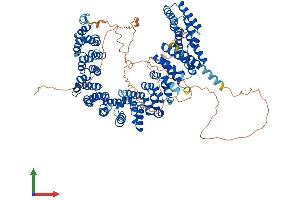 AlphaFold protein structure predicition of Human Recombinant PPP4R4 Protein, UniprotID Q6NUP7 (PPP4R4 Protein (AA 1-873) (His tag))