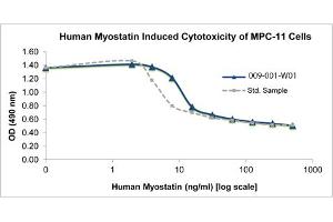 SDS-PAGE of Human Myostatin Recombinant Protein Bioactivity of Human Myostatin Recombinant Protein.