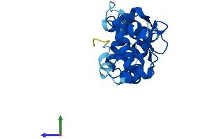 AlphaFold protein structure predicition of Human Recombinant CIB4 Protein, UniprotID A0PJX0 (CIB4 Protein (AA 1-185) (His tag))