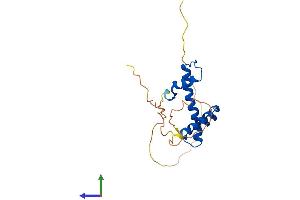 Protein Structure (PS) image for Nuclear Transcription Factor Y, beta (NFYB) (AA 1-207) protein (His tag) (ABIN7549700)