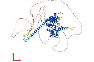 Protein Structure (PS) image for TBC1 Domain Family, Member 14 (TBC1D14) (AA 1-694) protein (His tag) (ABIN7559322)