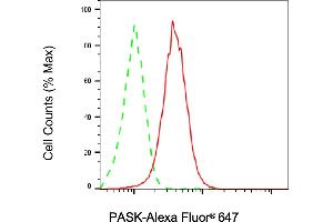 Flow cytometric analysis of PASK expression in HAP-1 cells using PASK antibody (ABIN7799741), 1:2,000). (PASK antibody)